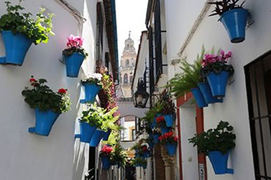 Calleja de las Flores